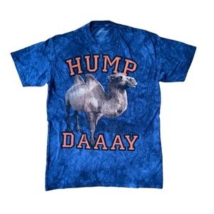 The Mountain Hump Day Tee | Size Large | Color Blue